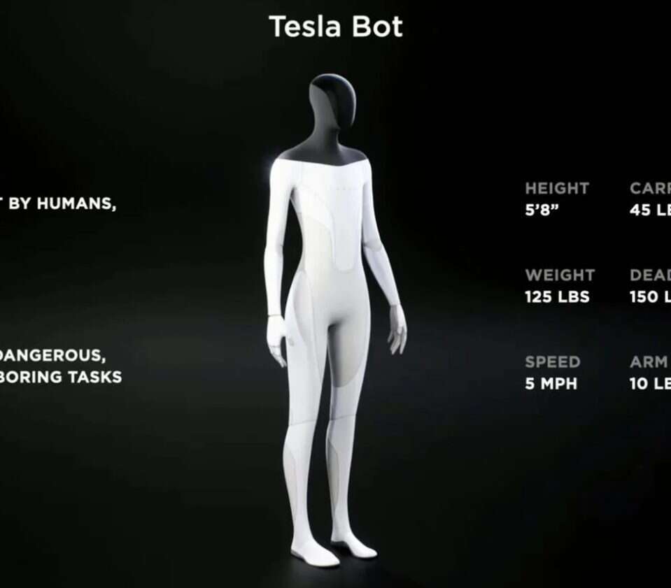 Tesla Bot, robot,