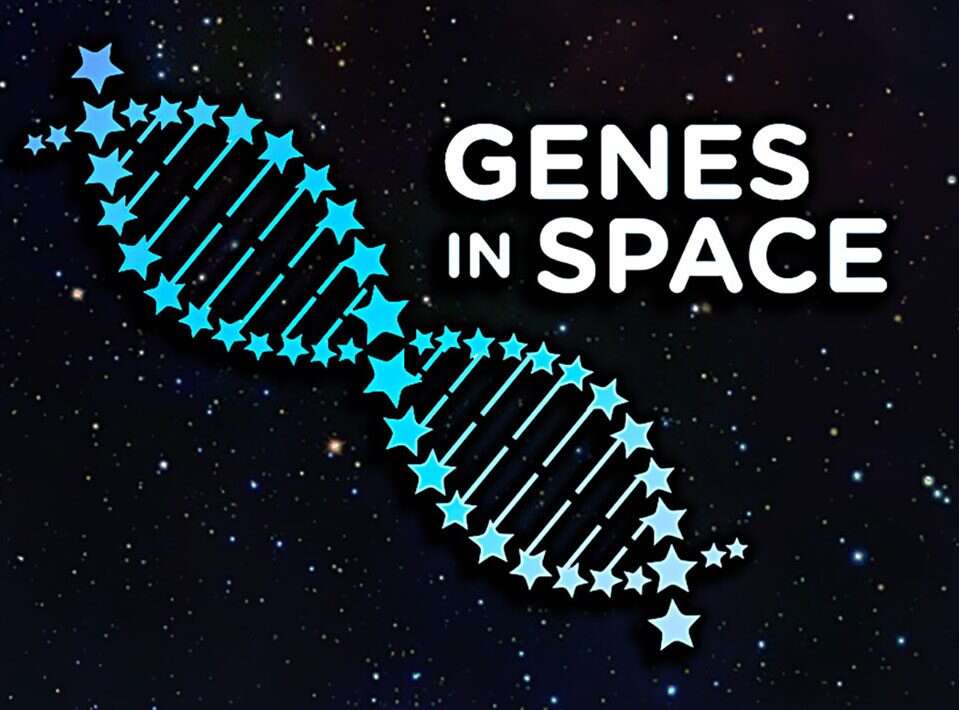 CRISPR działa w kosmosie. Astronauci użyli go do naprawy DNA