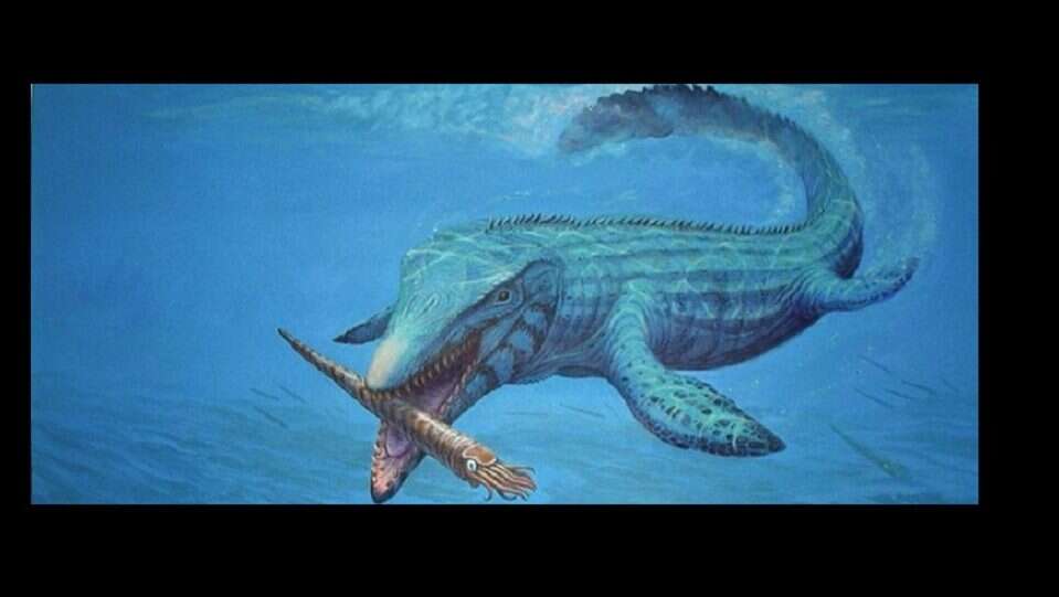 Miał ponad 5 metrów długości i był świetnym łowcą. Oto nieznany wcześniej mozazaur