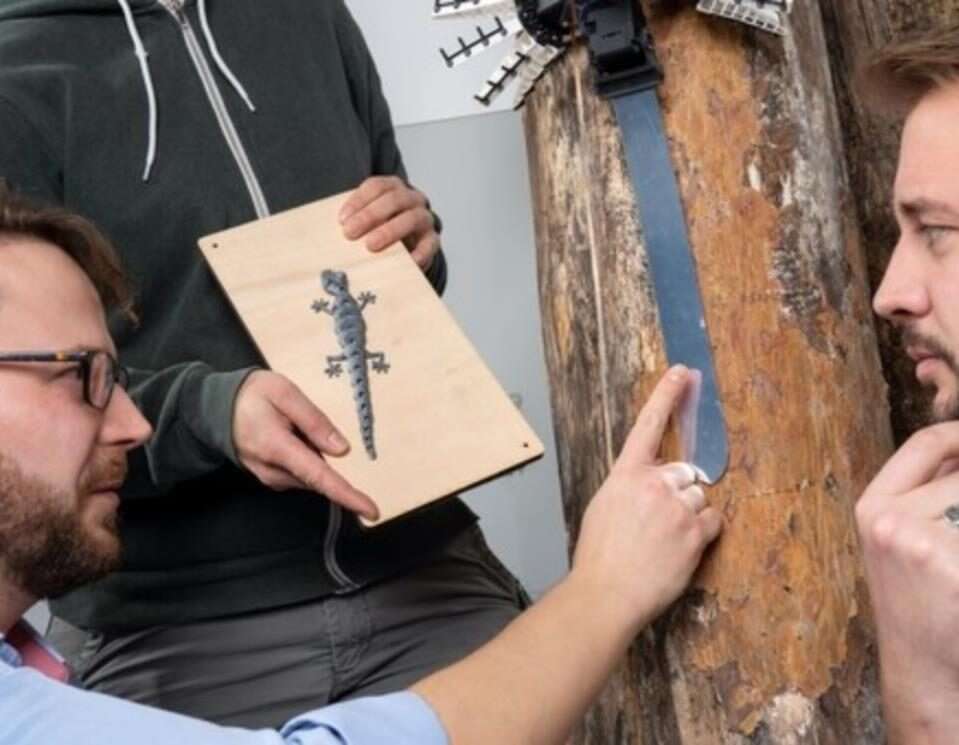 Jak lądują gekony, zwiększyć zwinność robotów