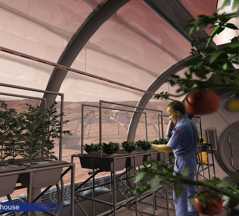 Uprawy na Marsie trudne do zrealizowania. Winne promieniowanie