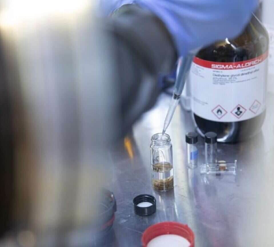 Odpady z żywności posłużą do produkcji akumulatorów. Oto nowa metoda przetwarzania