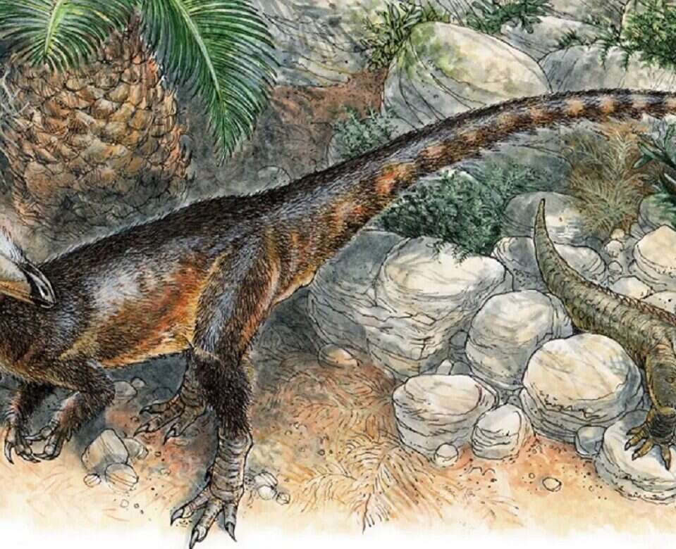 Ten dinozaur był dawniej drapieżnikiem szczytowym. Dziś nie wzbudzałby większego respektu