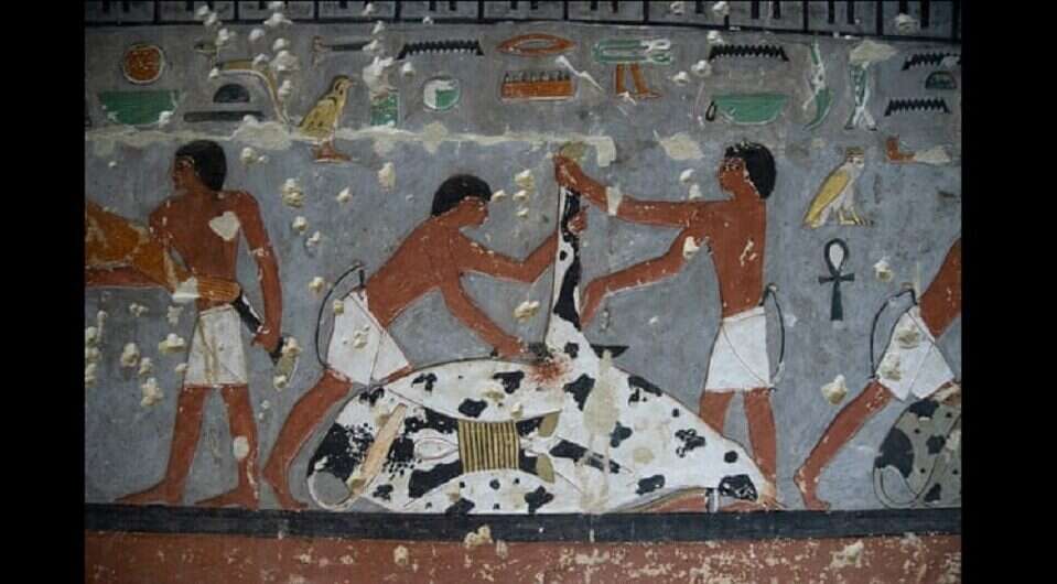 Mumifikacja starsza niż sądzono. Nowe znalezisko zaburza dotychczasowe ustalenia