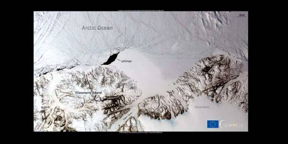 Ogromny otwór w ostatnim bastionie arktycznego lodu. Czym jest połynia?