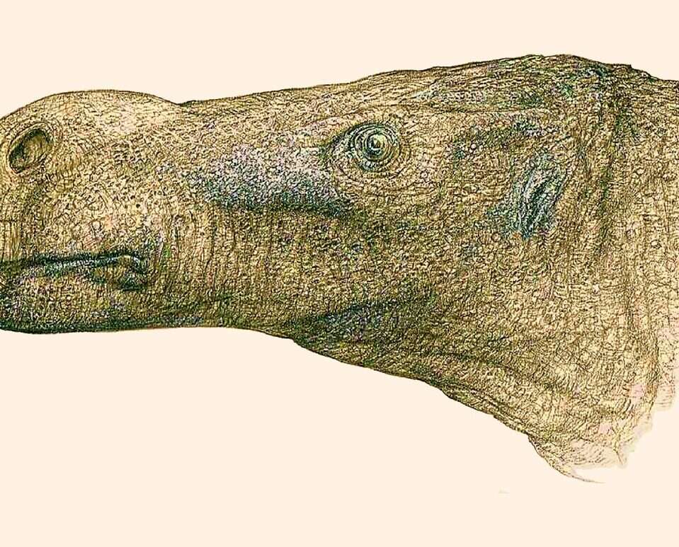 Nowo zidentyfikowany dinozaur z Wyspy Wight zmienia historię iguanodonów