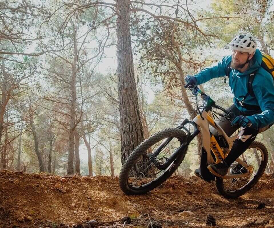 elektryczne rowery Porsche, Greyp