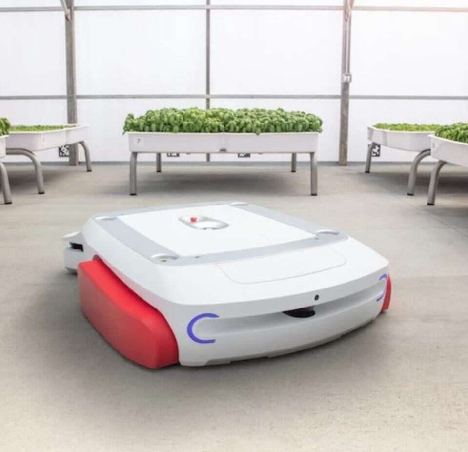 Robot Grover , nowoczesnych szklarni