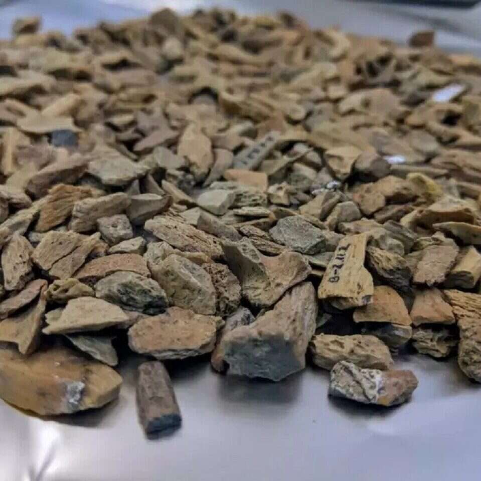 Tajemniczy przodkowie człowieka w syberyjskiej jaskini. Znaleziono ich rekordowo stare szczątki