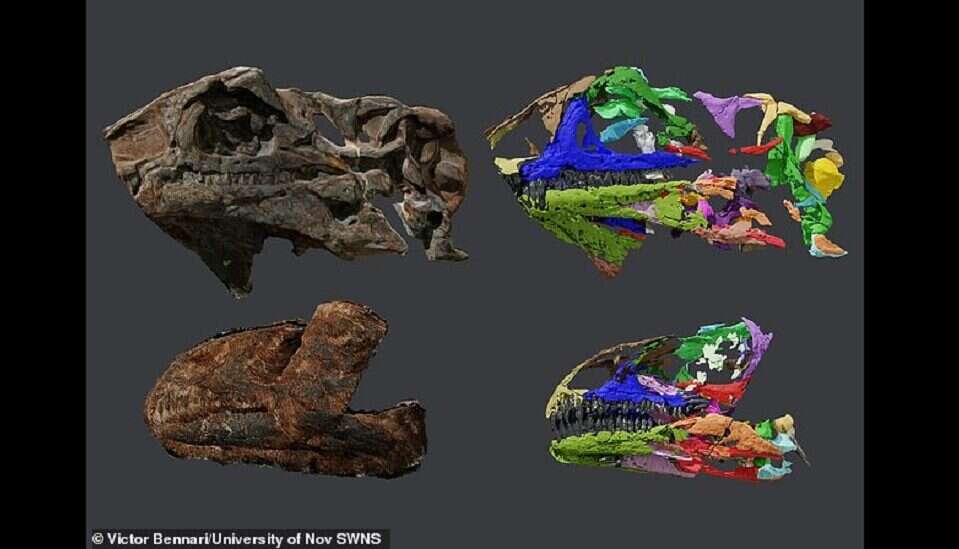 Zidentyfikowano nowy gatunek dinozaura, który zamieszkiwał dzisiejszą Grenlandię