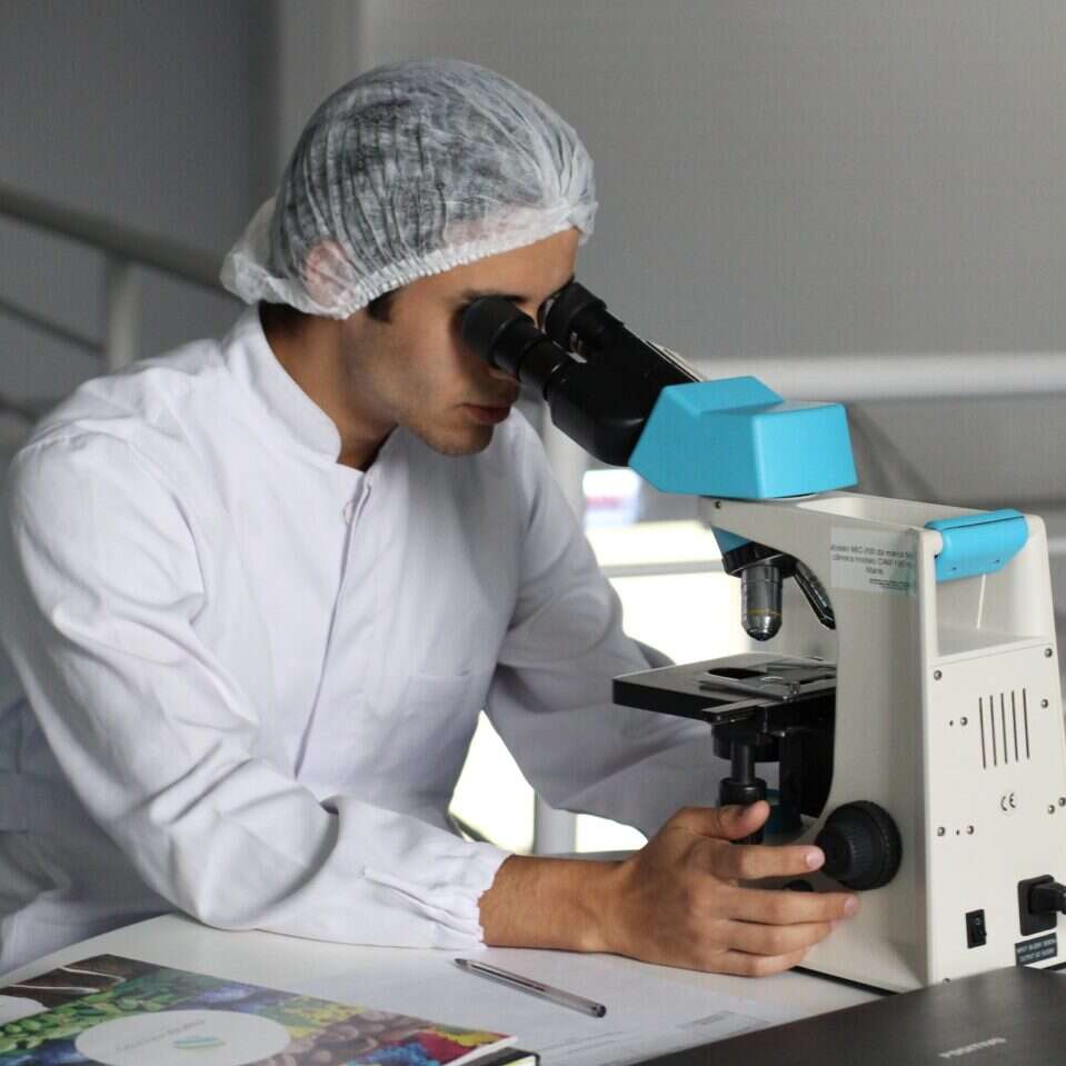 folistatyna