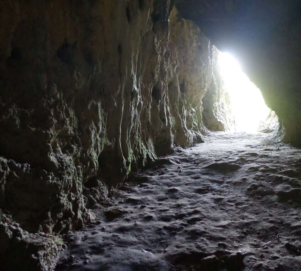 Ten wisiorek z kości mamuta jest rekordowo stary. Znaleziono go w Polsce