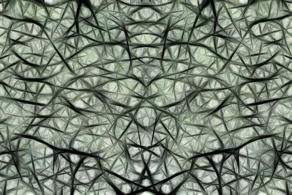 regeneracja-rdzenia-kregowego