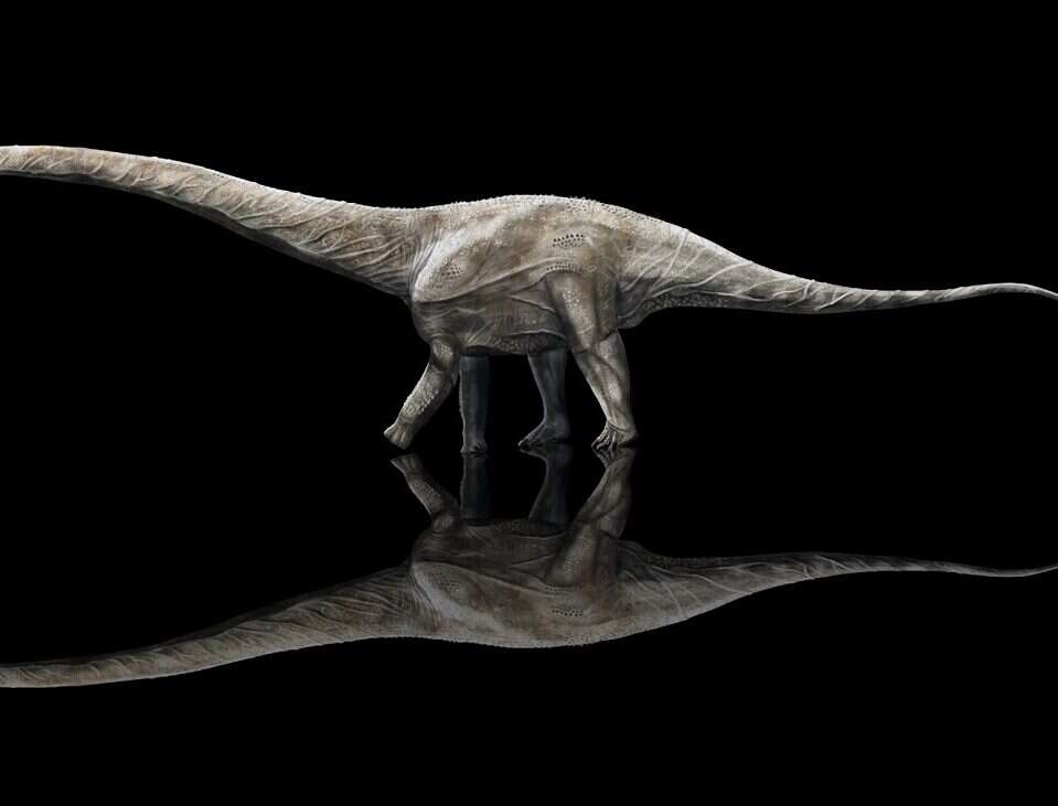 Superzaur to prawdopodobnie najdłuższy dinozaur w historii. Jakie rozmiary osiągał?