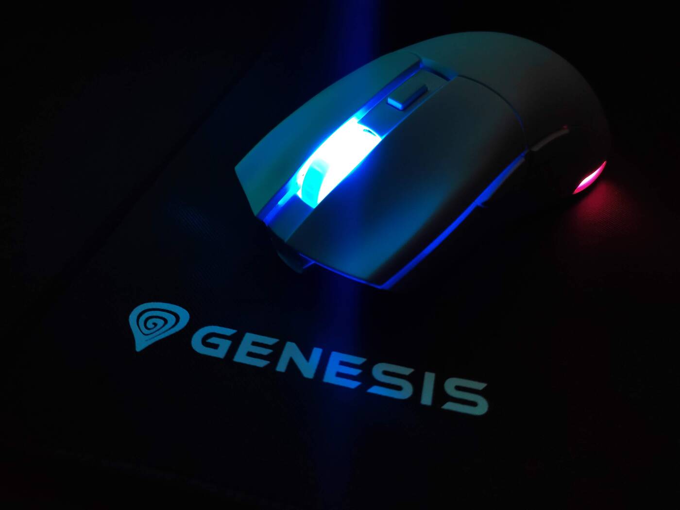 Test Genesis Zircon X 10 Anniversary Edition, czyli świętujemy 10-lecie Genesis