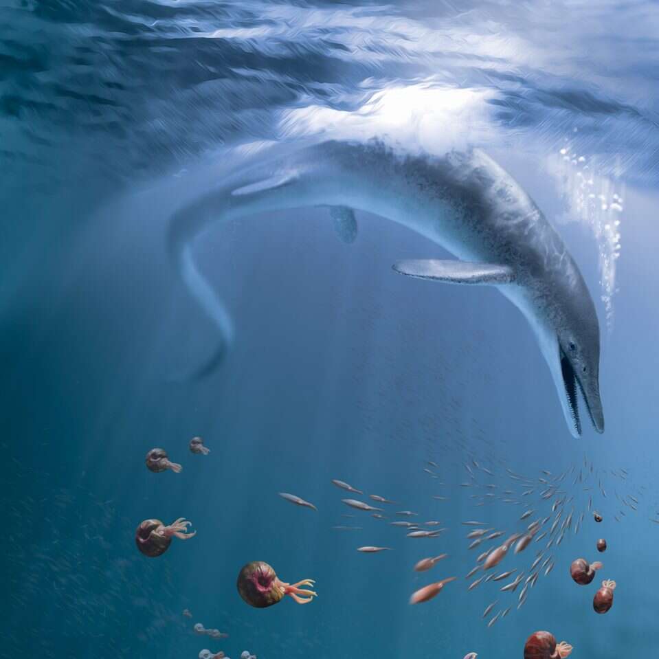 Smok morski. Tak nazwano gigantyczne zwierzę, którego szczątki znaleziono w Wielkiej Brytanii