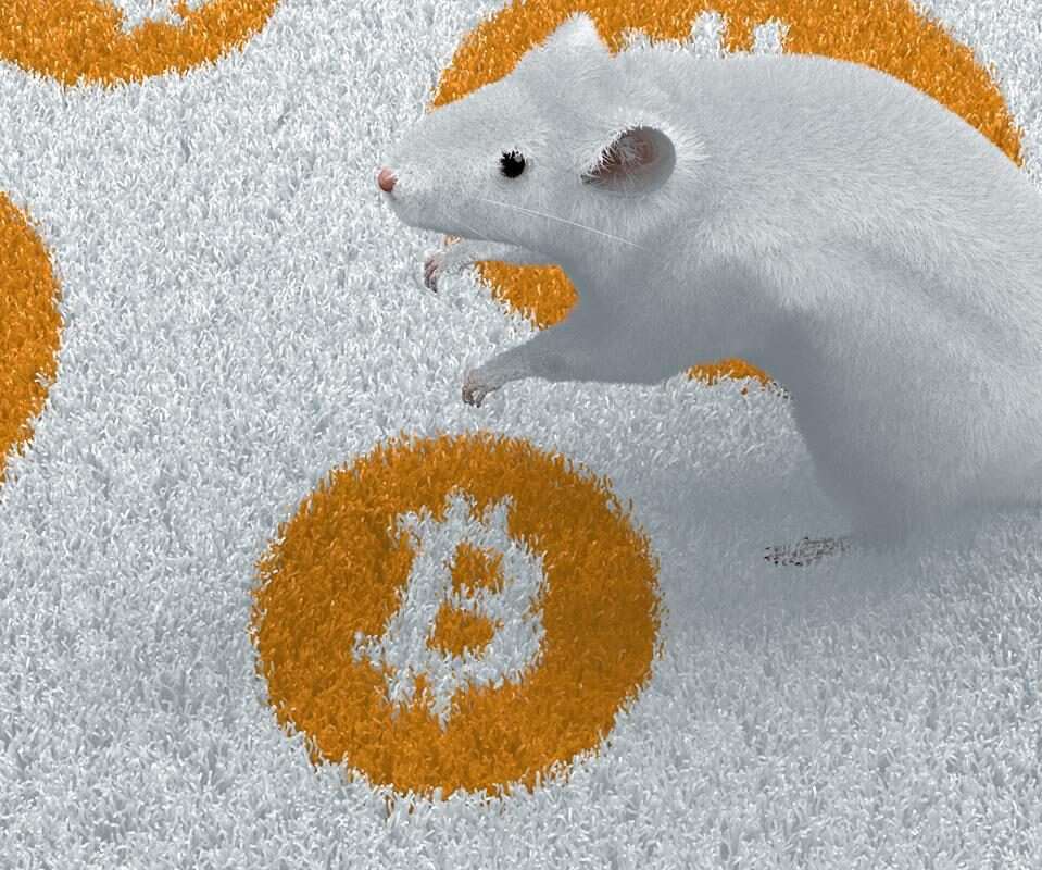 Genetycznie zmodyfikowana mysz z Bitcoinem w DNA, BitMouseDAO