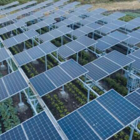 Kenia testuje panele słoneczne,