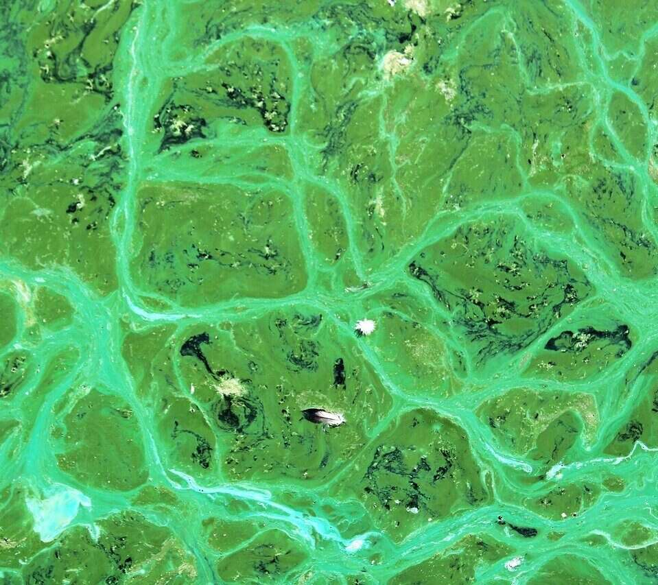 Sztuczna inteligencja zapewni nowe źródło energii? Oto potencjalne paliwo przyszłości