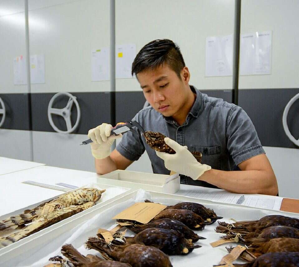 Tak dużej bazy ptaków jeszcze nie było. Naukowcy wykorzystają ją na kilka sposobów
