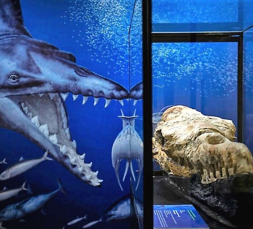 Co za bestia! Ten drapieżnik sprzed 36 mln lat był prawdziwym gigantem