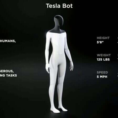 Autonomiczne samochody to dopiero początek, Elon Musk o roli robotów w przyszłości