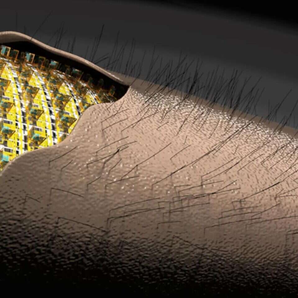 Nowy rodzaj elektronicznej skóry,