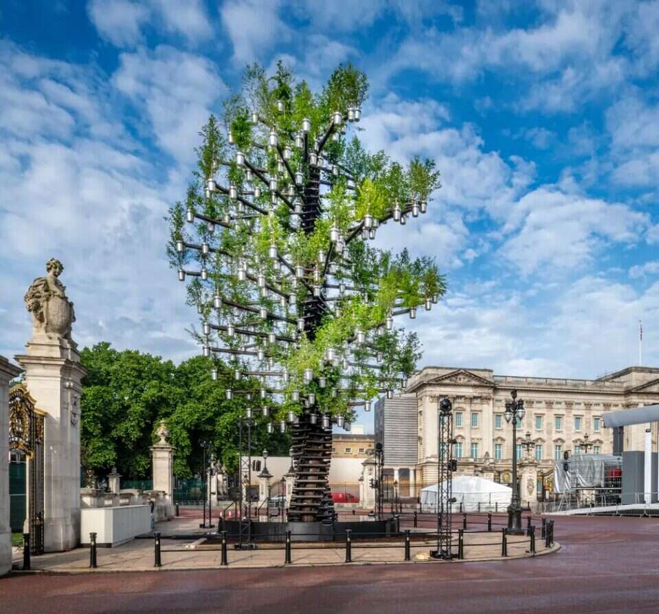 Drzewo Drzew, Tree of Trees