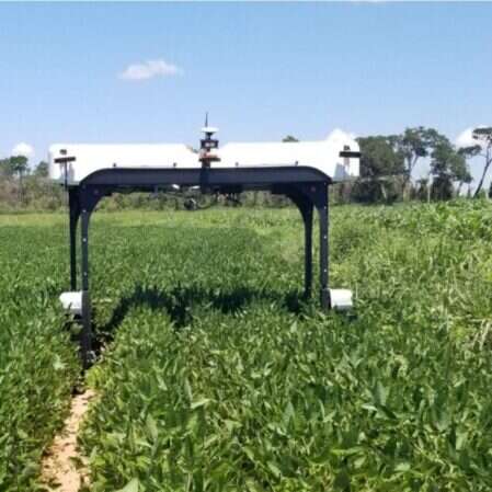 Solix wyruszył w pola, rolniczy robot do monitorowania plonów
