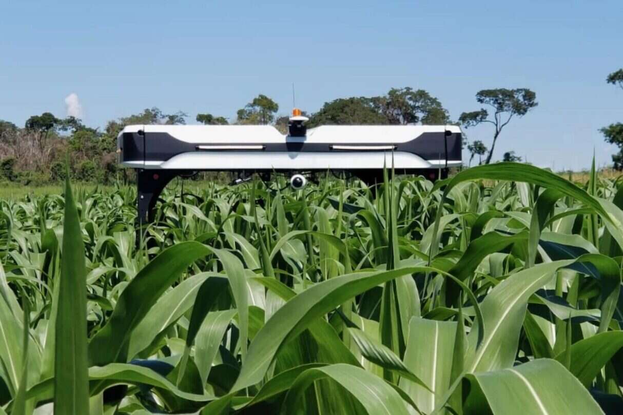 Solix wyruszył w pola, rolniczy robot do monitorowania plonów