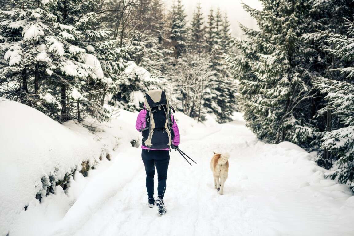 Woman walking in winter forest with dog