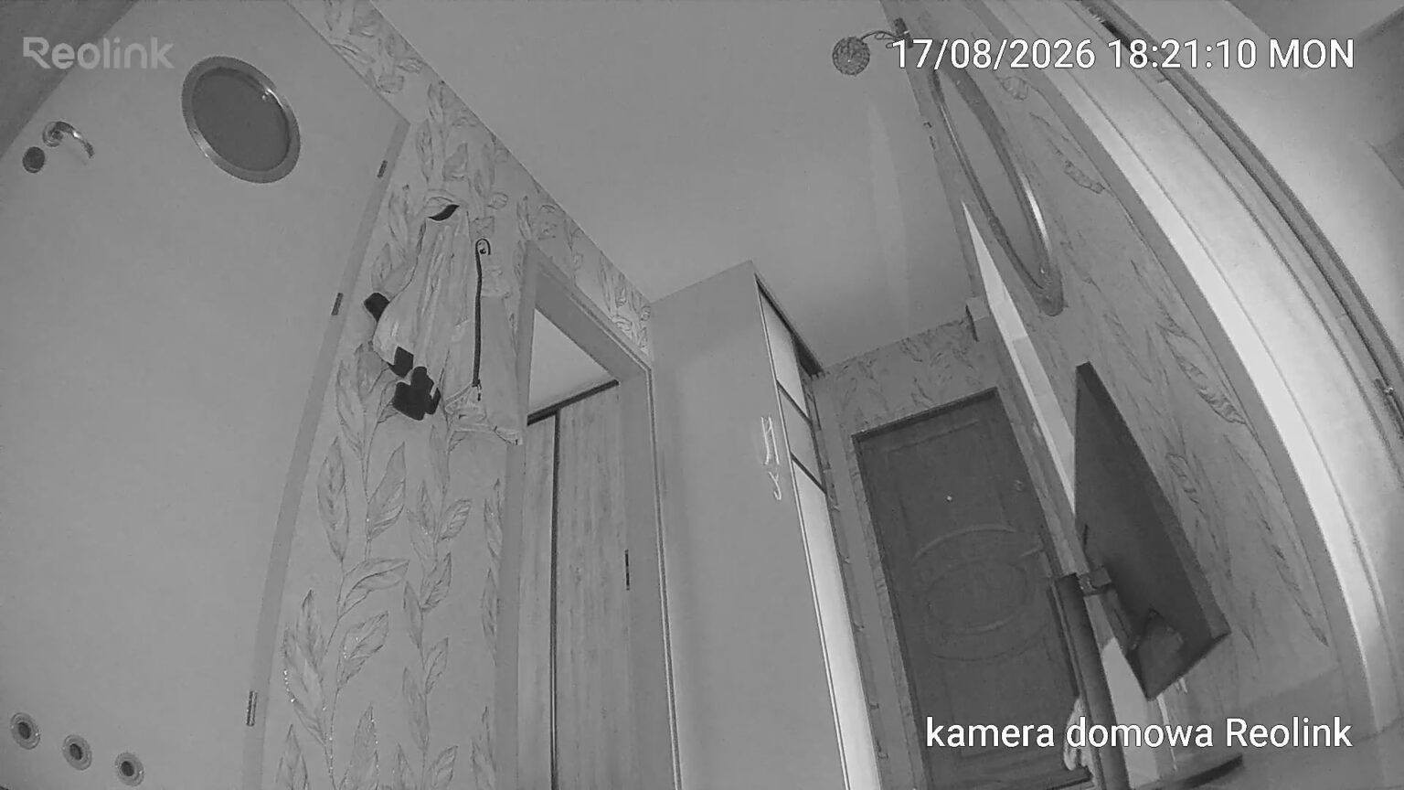 Reolink B210 - test mobilnej kamery FullHD zasilanej bateriami AA