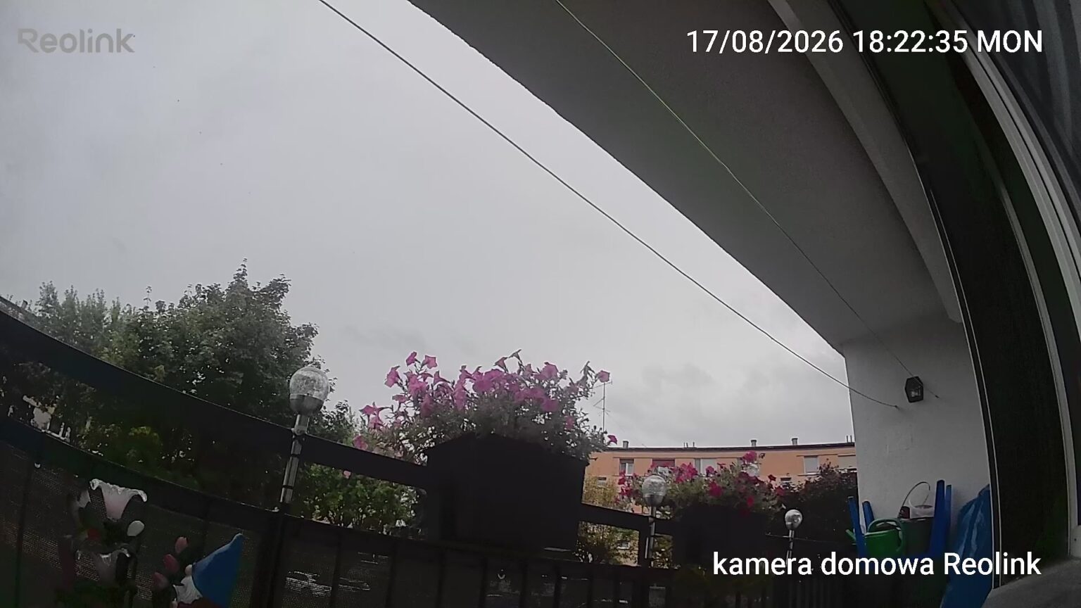Reolink B210 - test mobilnej kamery FullHD zasilanej bateriami AA