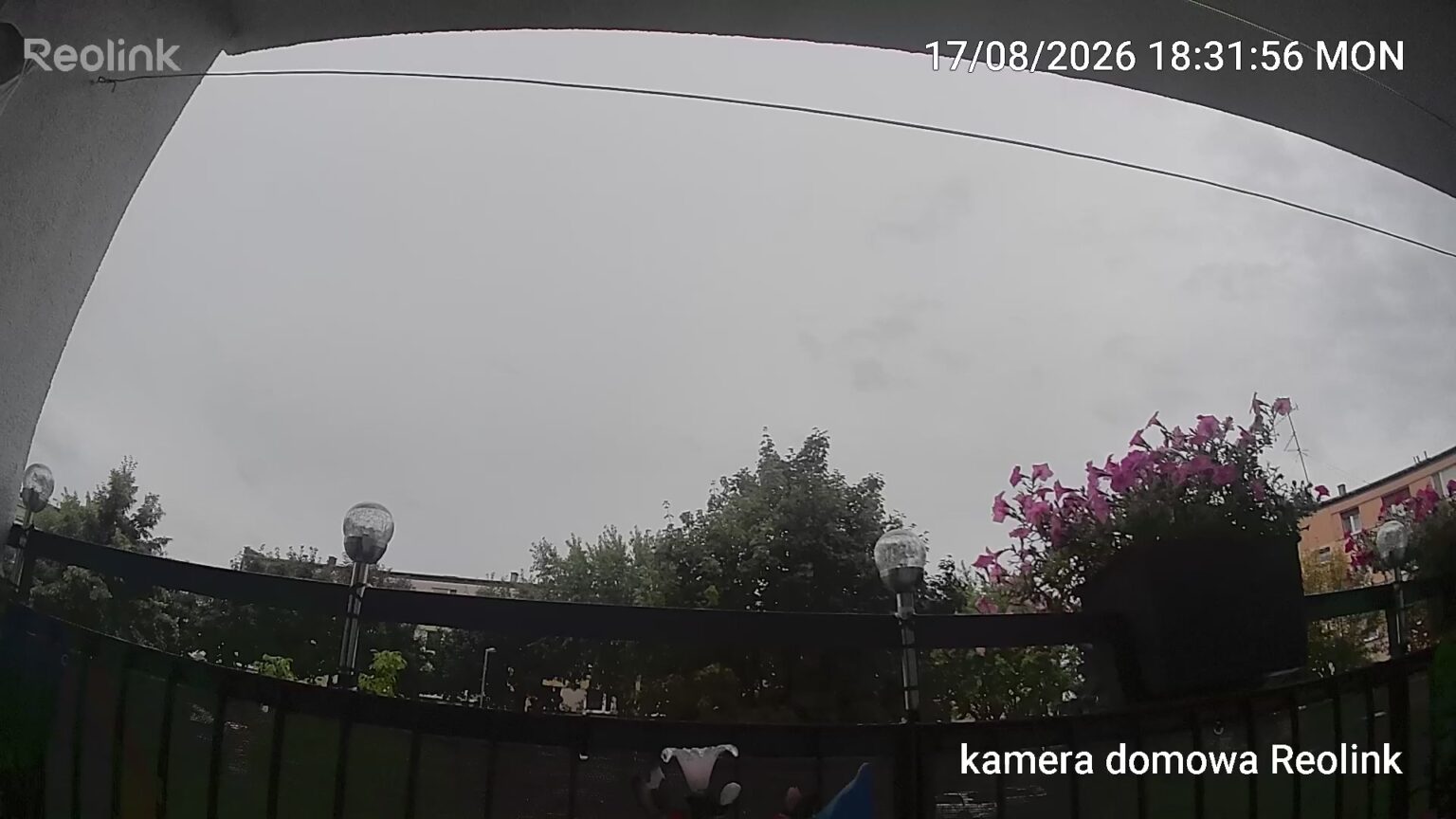 Reolink B210 - test mobilnej kamery FullHD zasilanej bateriami AA